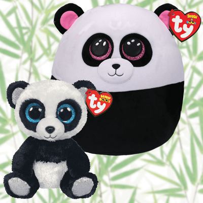 Bamboo Fun Bundle